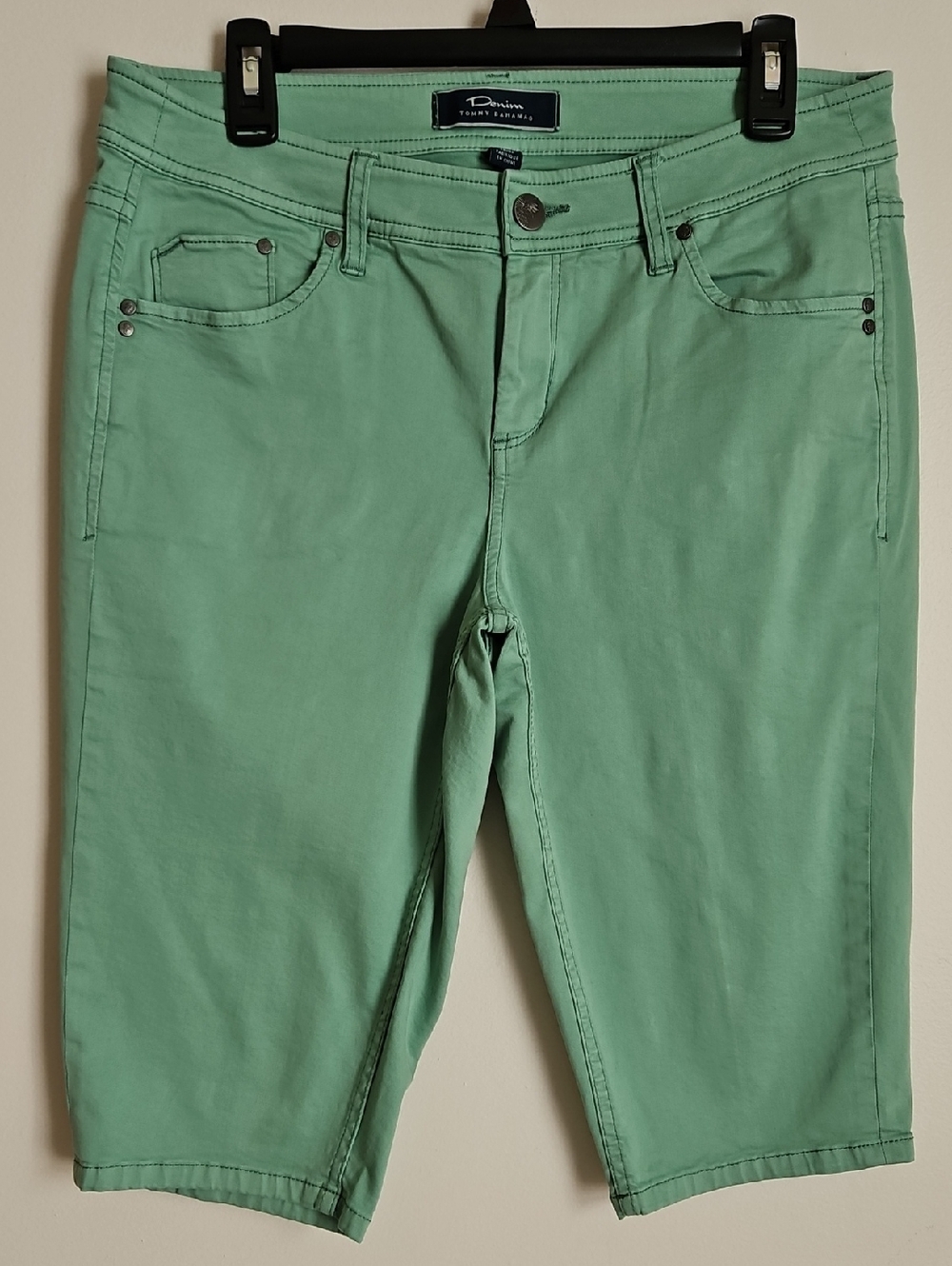 Tommy Bahama Mint Green Bermuda Short Pineapple Snap Coastal Casual 12